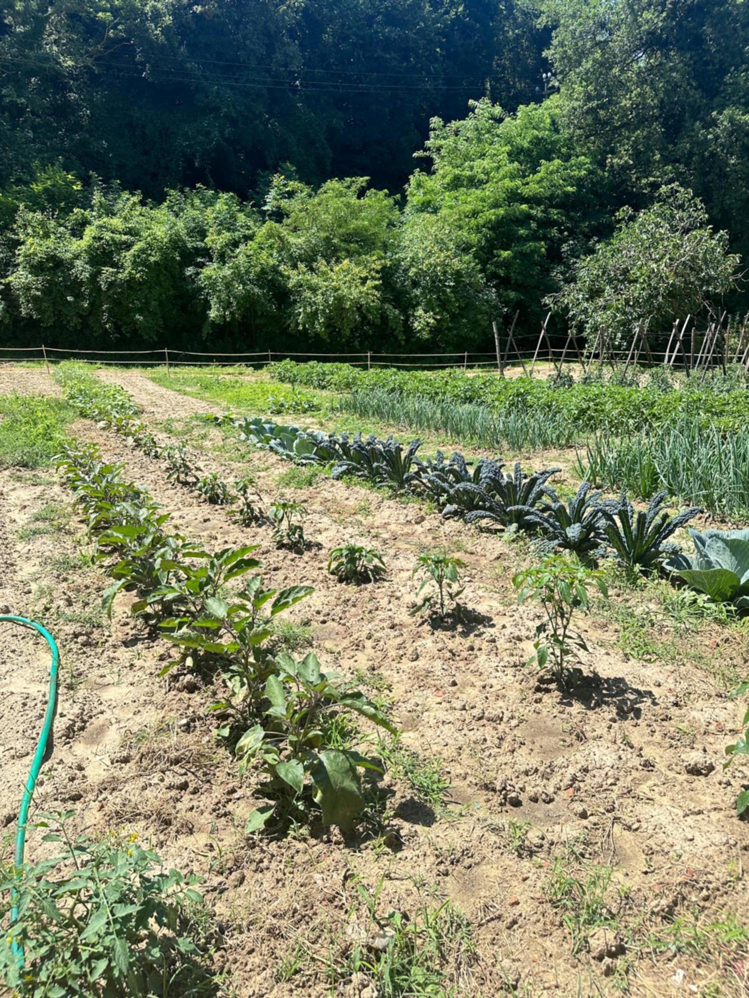 Agriturismo San Biagio Villa Montepulciano Stazione Eksteriør bilde