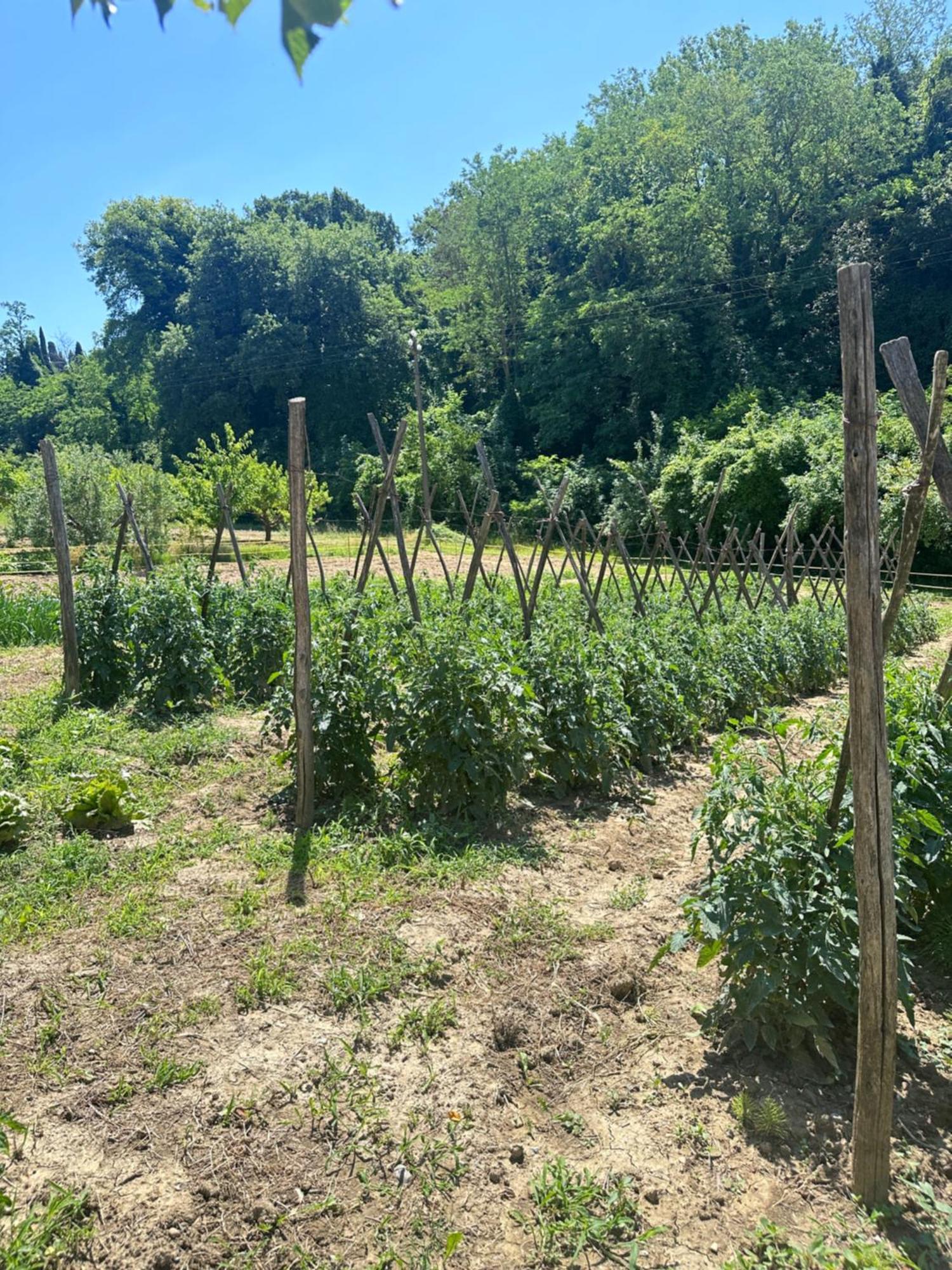 Agriturismo San Biagio Villa Montepulciano Stazione Eksteriør bilde