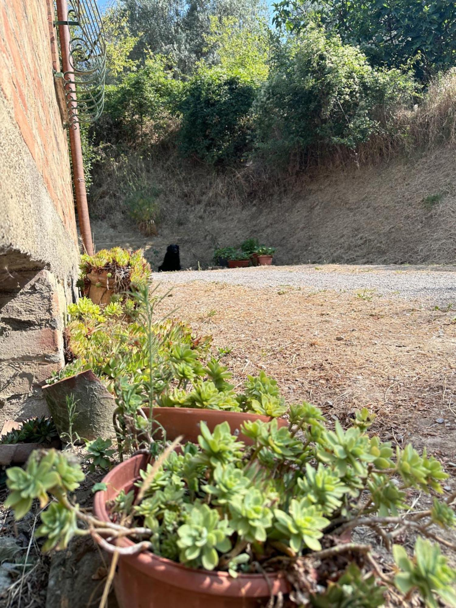Agriturismo San Biagio Villa Montepulciano Stazione Eksteriør bilde